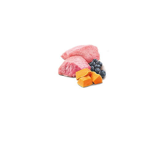 N&D Pumpkin Cat Zucca, agnello e mirtillo Adult 70g - FARMINA - 64826491830650