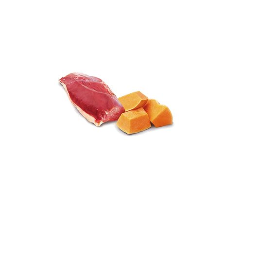 N&D Pumpkin Cat Zucca e anatra Adult 70g - FARMINA - 64826489274746