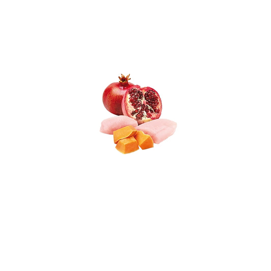 N&D Pumpkin Cat Pollo, zucca e melograno Adult 70g - FARMINA - 64826489078138