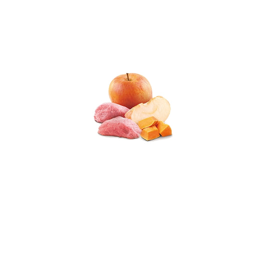 N&D Pumpkin Cat Cinghiale, zucca e mela Adult 70g - FARMINA - 64826488127866