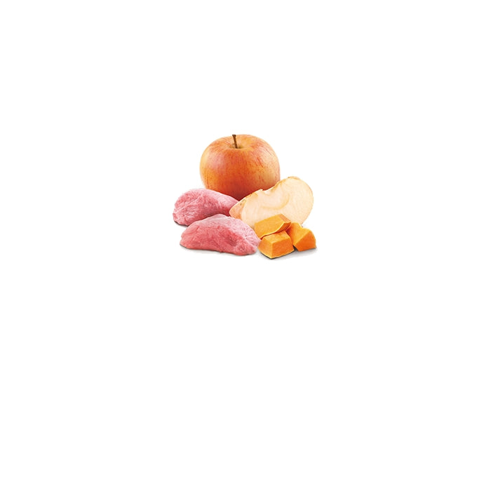 N&D Pumpkin Cat Cinghiale, zucca e mela Adult 70g