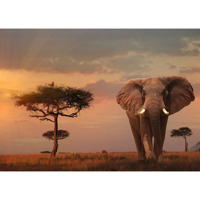 Puzzle per adulti 1000 pezzi Elefante del Masai
