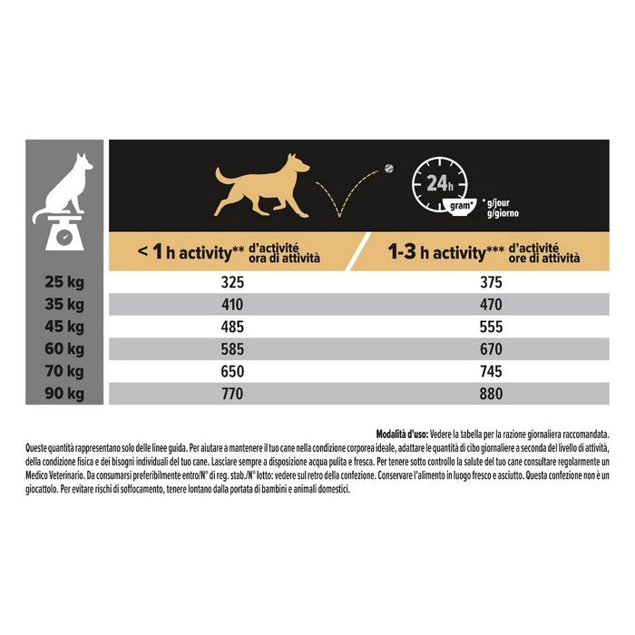 Purina Pro Plan Adult Large Robust Everyday Nutrition ricco in pollo - PURINA - 66185862840698
