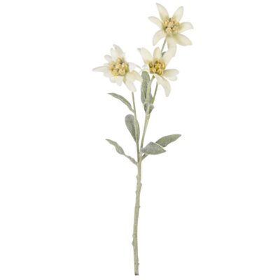RAMO STELLA ALPINA 3FIORI H38 - Ramo di stella alpina con 3 fiori realizzato in velluto, plastica, fil di ferro e nylon. Dim