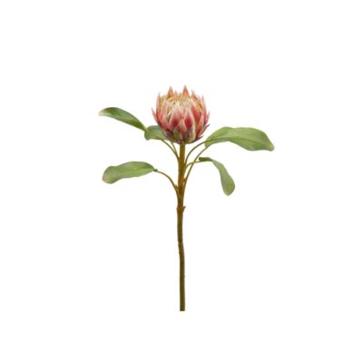 PROTEA DUKE RAMO H65 PINK - Fiore di protea duke con ramo. Fiore real touch con foglie. Altezza 65 cm.