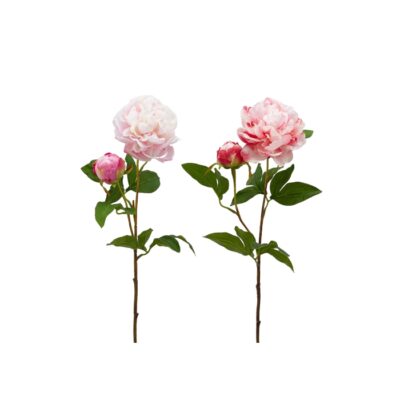 PEONIA OLIS RAMOX2 WHITE PINK - Fiore di Peonia Olis per decorazione con fiore real touch. Disegnato da EDG - Enzo De Gaspe
