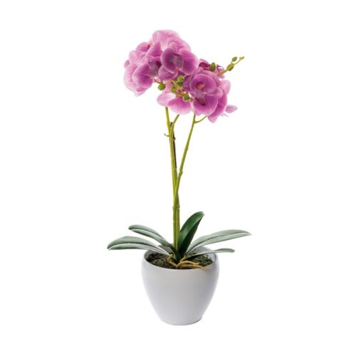 VASO CON ORCHIDEA CON 16 FIORI - Vaso decorativo con pianta di orchidea, dotato di vaso bianco. Orchidee in colori assortiti