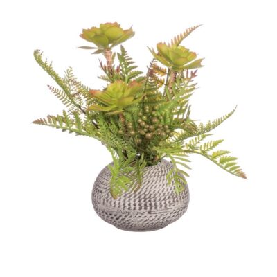 VASO CON PIANTA GRASSA PER DECORAZIONE - Vaso con pianta grassa per decorazione, con finiture in colori e modelli assortiti.