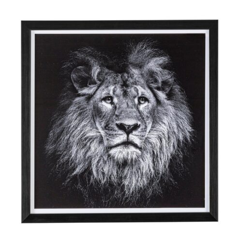 QUADRO CON LEONE EVIDENCE BLACK - Questo quadro con stampa di un leone è il complemento perfetto per il tuo salotto in stile