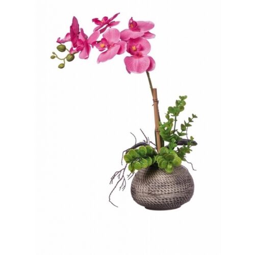 VASO+ORCHIDEA ASS4COL DIAM14XH40 - Vaso con pianta di orchidea per decorazione, orchidee assortite in 4 colorazioni. Dimensi