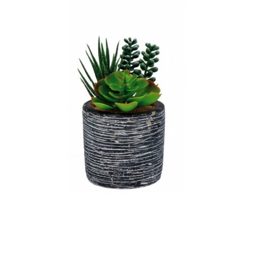 VASO+PIANT GRASSE ASS3MOD DIAM8XH16 - Vaso decorativo con piante grasse, vaso in cemento con finiture assortite. Dimensioni
