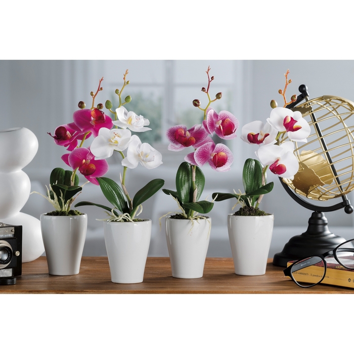 VASO Orchidea moderno Forma ASSORTITI E Colore A Scelta Small Office Home vaso di fiori 2 PZ 