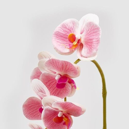 Ramo di orchidea artificiale Olis 3D 7 fiori - Ramo decorativo artificiale di orchidea con effetto real touch 3D. Il ramo è