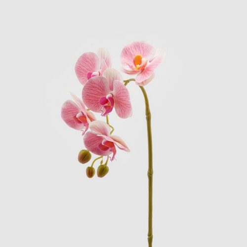 Ramo di orchidea artificiale Olis 3D 5 fiori 70 cm - Ramo decorativo artificiale di orchidea con effetto real touch 3D. Il r