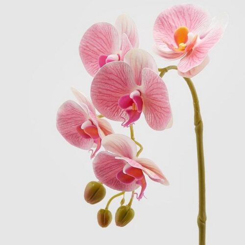 Ramo di orchidea artificiale Olis 3D 5 fiori 70 cm - Ramo decorativo artificiale di orchidea con effetto real touch 3D. Il r