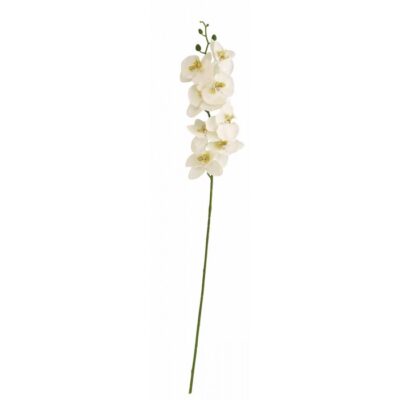 Orchidea artificiale 8 fiori per decorazione - Orchidea con 8 fiori per decorazione ideale per decorare con un tocco di verd