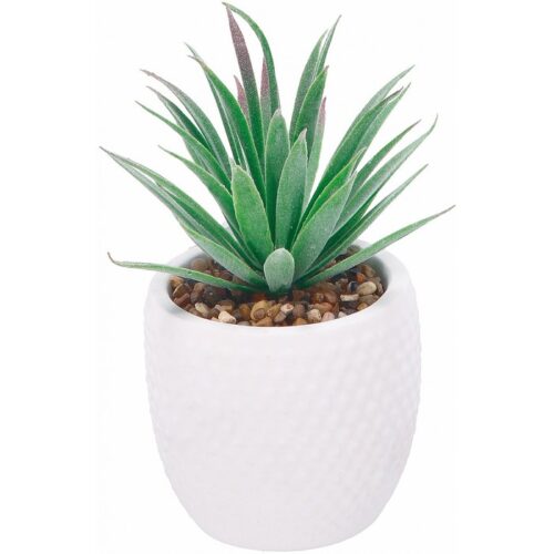 Vaso con pianta grassa artificiale - Vaso con pianta grassa ideale per dare un tocco di verde all'interno della tua casa.Dec