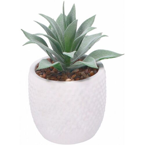 Vaso con pianta grassa artificiale - Vaso con pianta grassa ideale per dare un tocco di verde all'interno della tua casa.Dec
